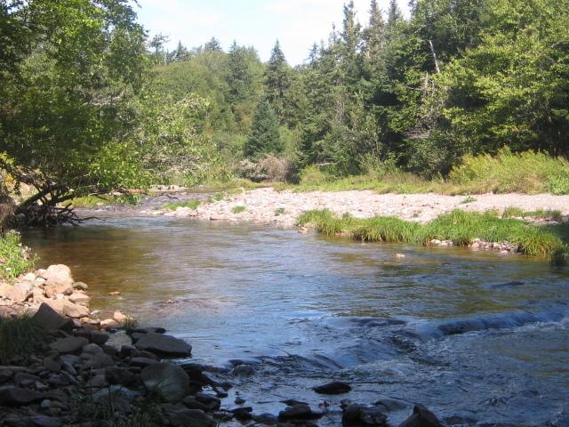Moore'S Specialties Fundy Bay House Rental Gardner Creek Εξωτερικό φωτογραφία