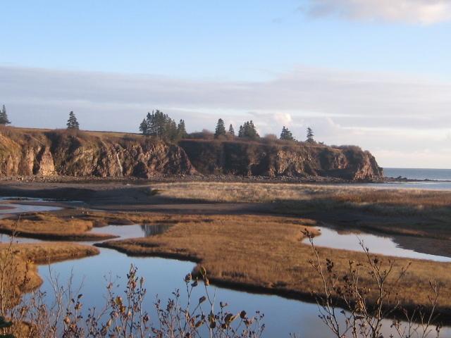 Moore'S Specialties Fundy Bay House Rental Gardner Creek Εξωτερικό φωτογραφία