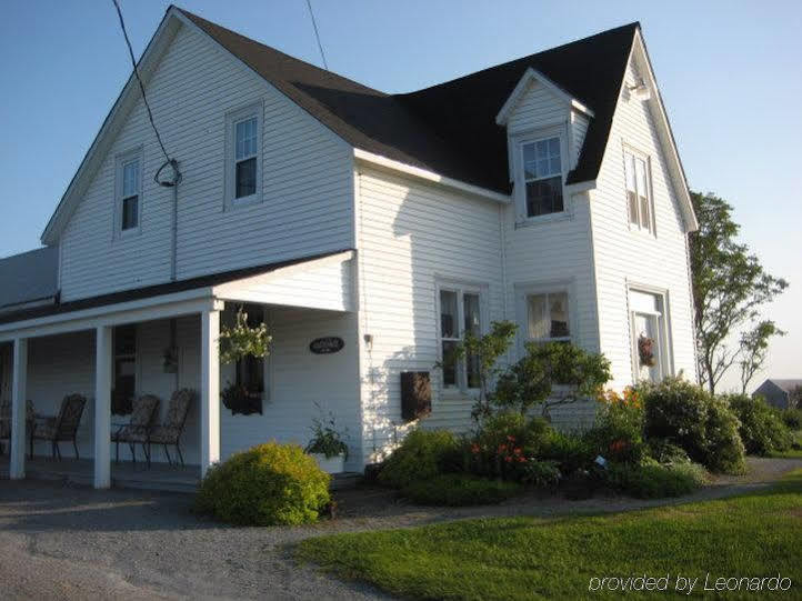 Moore'S Specialties Fundy Bay House Rental Gardner Creek Εξωτερικό φωτογραφία