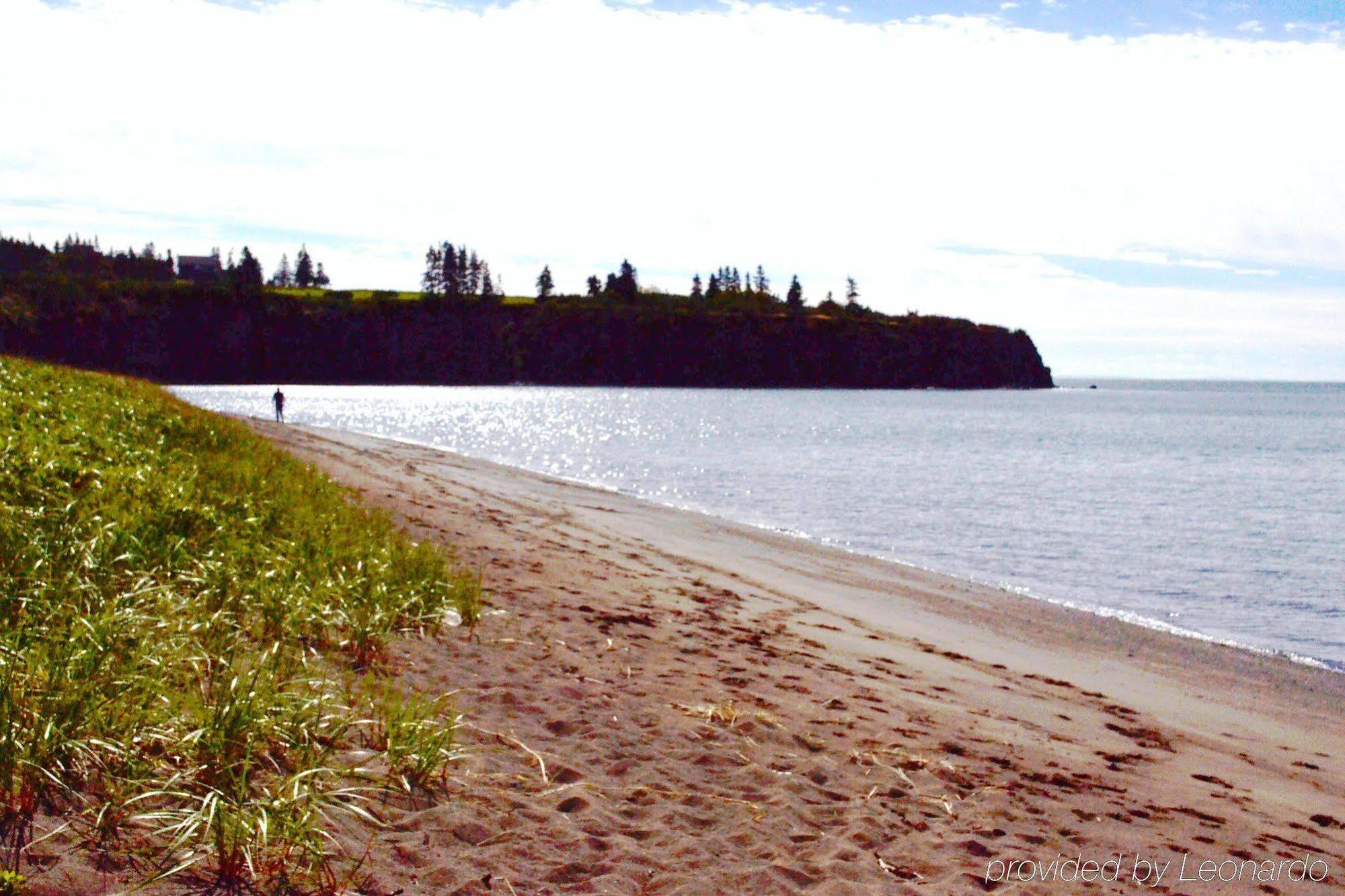 Moore'S Specialties Fundy Bay House Rental Gardner Creek Εξωτερικό φωτογραφία