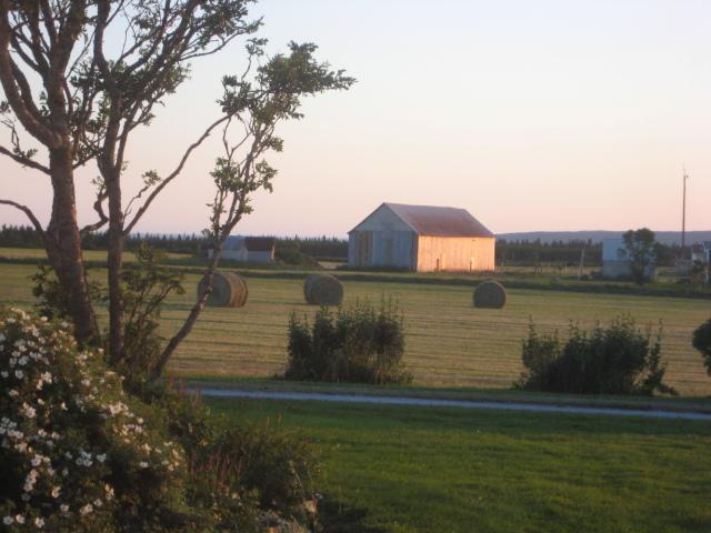 Moore'S Specialties Fundy Bay House Rental Gardner Creek Εξωτερικό φωτογραφία