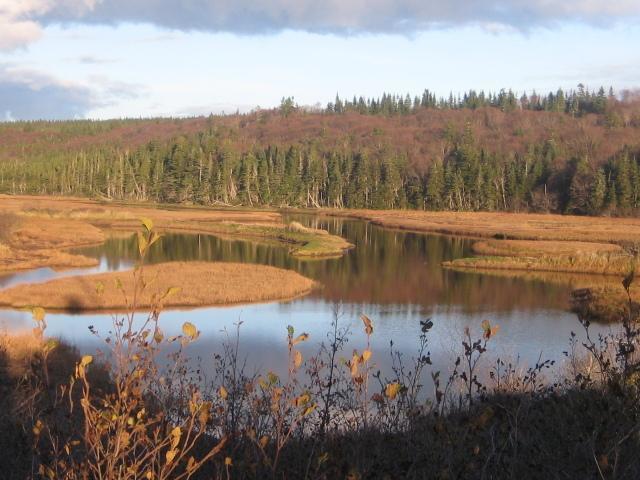 Moore'S Specialties Fundy Bay House Rental Gardner Creek Εξωτερικό φωτογραφία