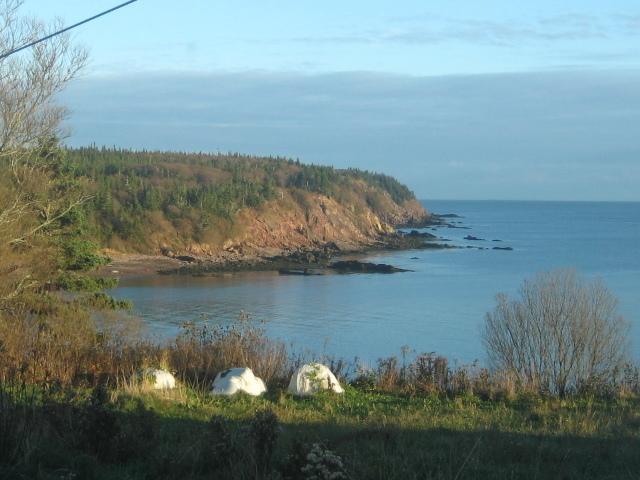 Moore'S Specialties Fundy Bay House Rental Gardner Creek Εξωτερικό φωτογραφία