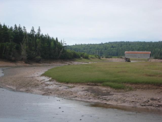 Moore'S Specialties Fundy Bay House Rental Gardner Creek Εξωτερικό φωτογραφία